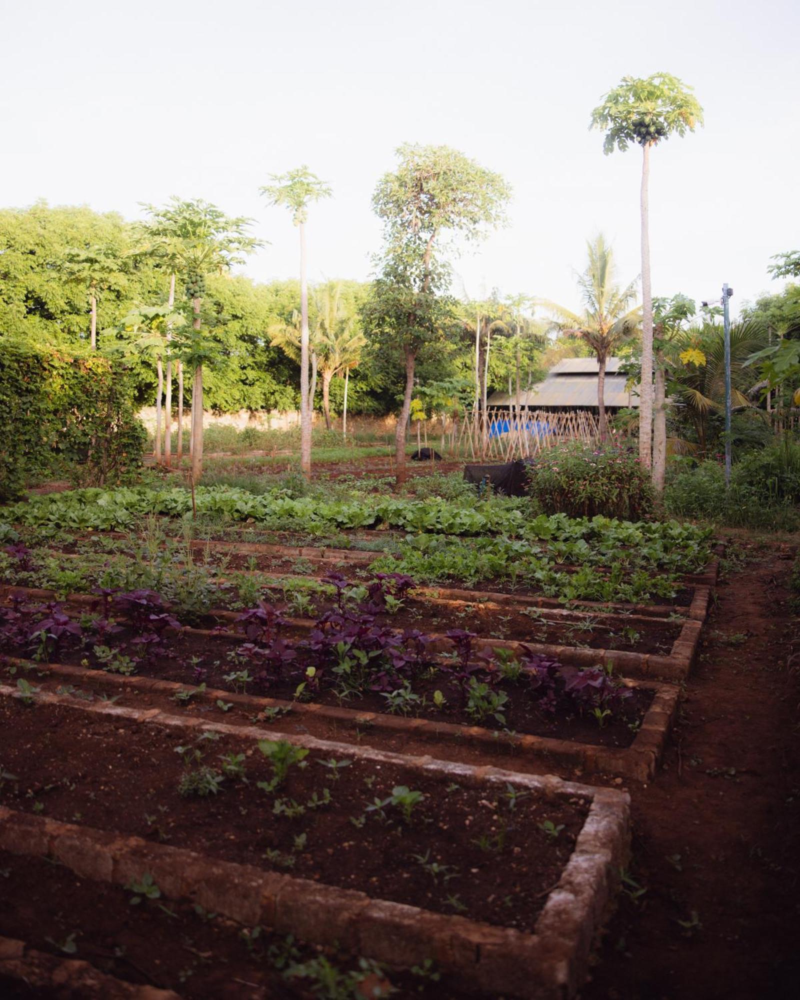 Maringi Sumba By The Sumba Hospitality Foundation Waikelo 외부 사진